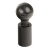 RAM® 1/4" NPT Female Threaded Hole with Ball